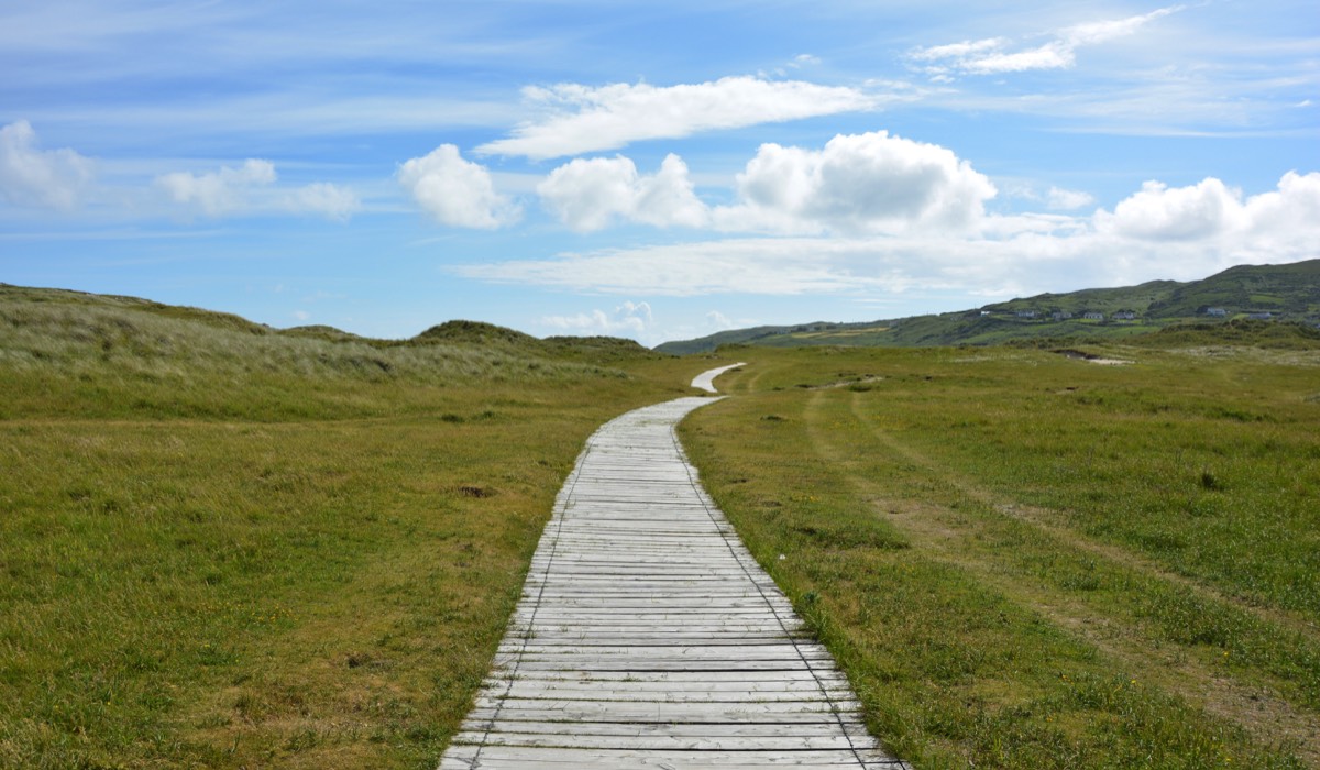 EcoTankas-Australia-Boardwalk-Hike